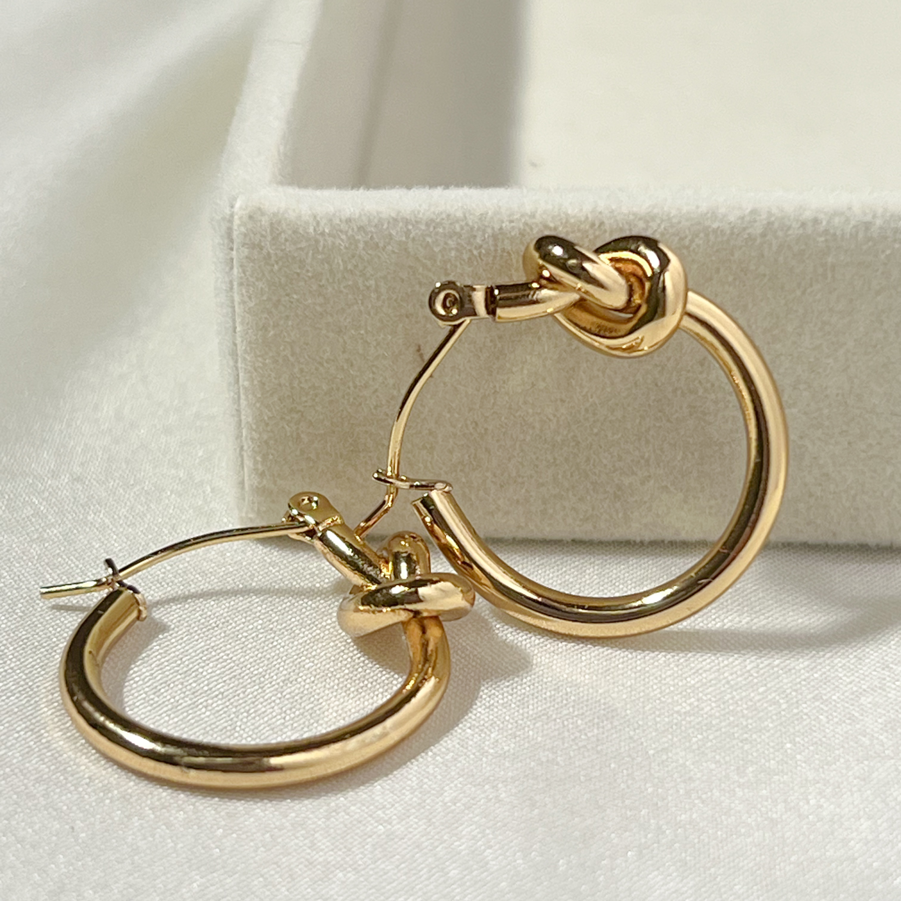 Nova Loop Hoops Earrings